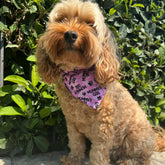 Mummy's girl dog bandana , let's pawty